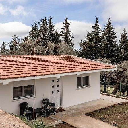 Olive Grove Apartment Bar Luaran gambar