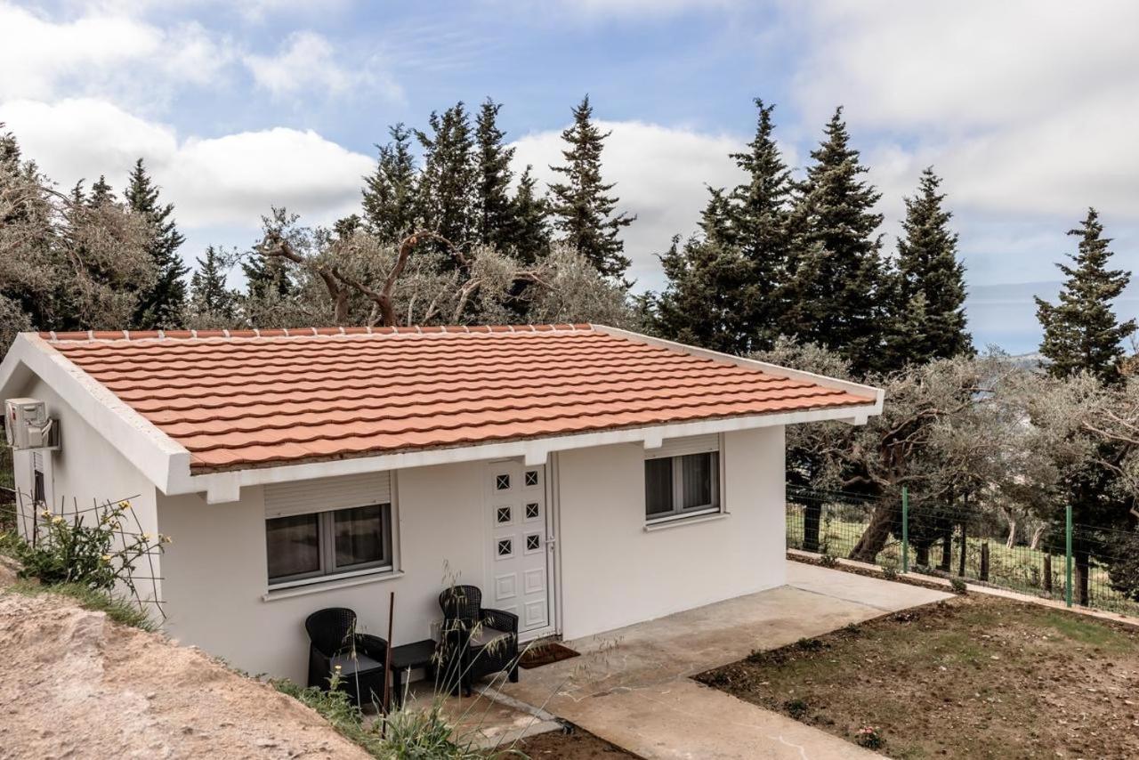 Olive Grove Apartment Bar Luaran gambar